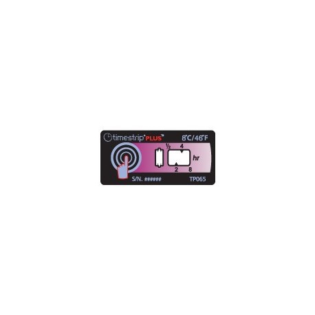 Timestrip Plus 